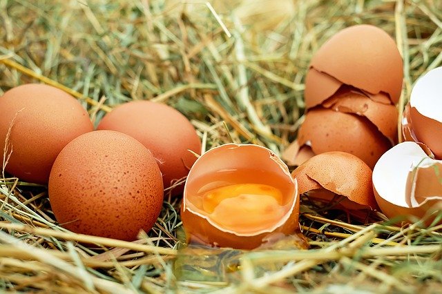 Combien de calories y a-t-il dans un œuf ? 🥚